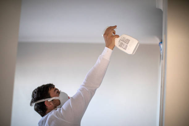 North Little Rock, AR Mold Removal Company
