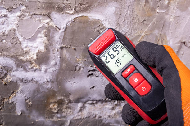 Best Local Mold Removal Service  in North Little Rock, AR