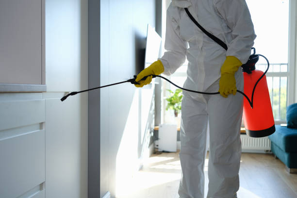 Best Mold Cleaning Services  in North Little Rock, AR