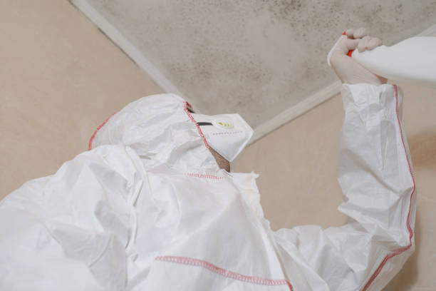 Best Residential Mold Removal  in North Little Rock, AR